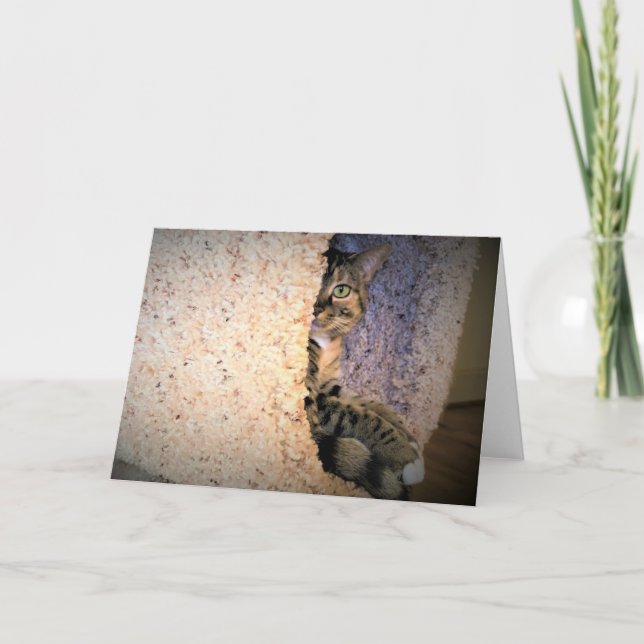 Dias Lentos, cartão (Frente)