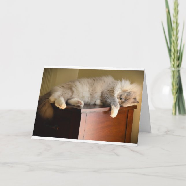 Dias Lentos, cartão (Frente)