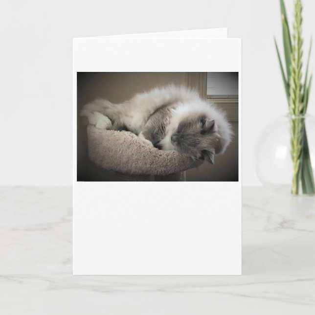 Dias Lentos, cartão (Frente)