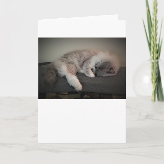 Dias Lentos, cartão (Frente)