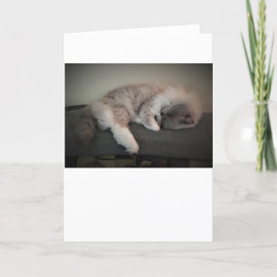 Dias Lentos, cartão