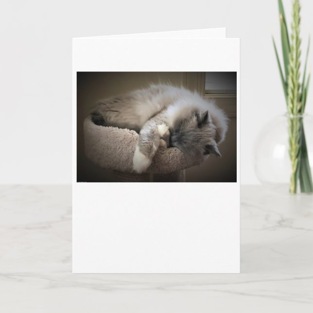 Dias Lentos, cartão (Frente)