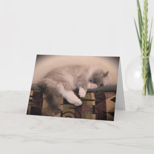 Dias Lentos, cartão (Frente)