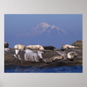 Dias Úteis Estão Aqui Novamente - Impressões De Ar