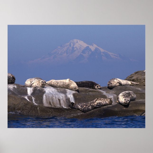 Dias Úteis Estão Aqui Novamente - Impressões De Ar (Frente)