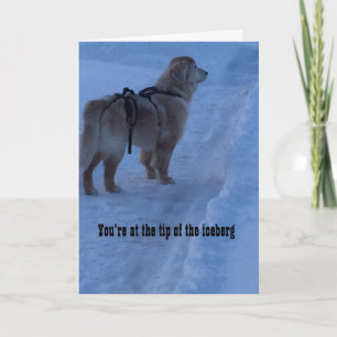 Dica do Iceberg, você tem este cartão