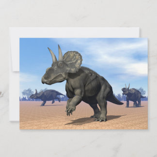 Diceratops/dinossauros nedoceratops no deserto