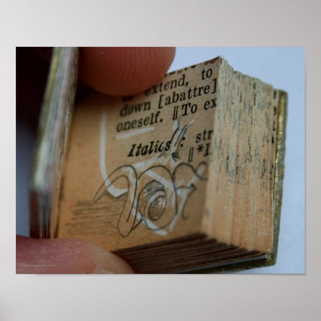 DicofrAngle Miniature Book cortou Poster de desenh (Frente)