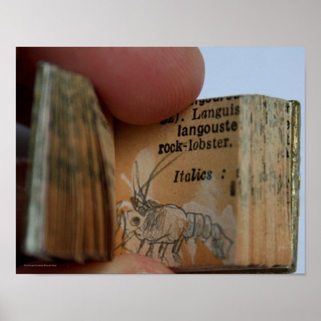 DicofrAngle Miniature Book Crayfish Poster (Frente)