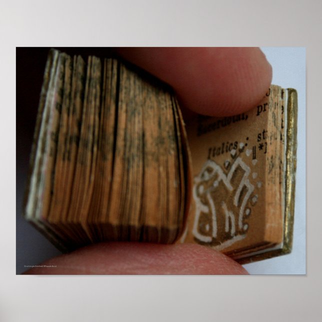 DicofrAngle Miniature Book sem título Poster de de (Frente)