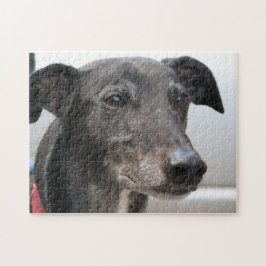 Diesel do quebra-cabeça de serra de vaivém do