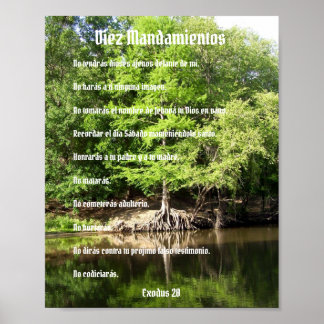 Diez Mandamientos - Ciprés en el Pantano Poster