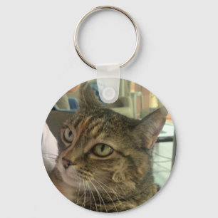 Diferente imaginação da árvore chaveiro