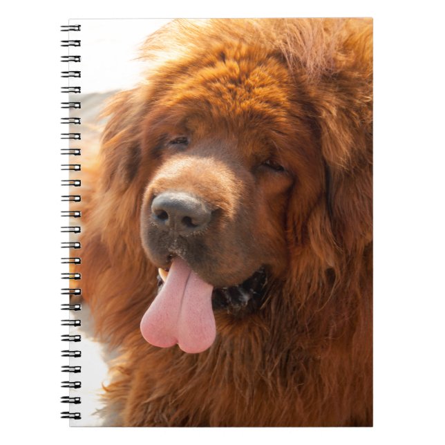 Diggy um caderno vermelho bonito do Mastiff (Frente)
