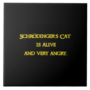 Dilema Quântico Divertido - O Gato de Schrödinger