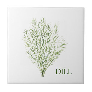 Dill Herb Greenery Kitchen Culinary Green Plant