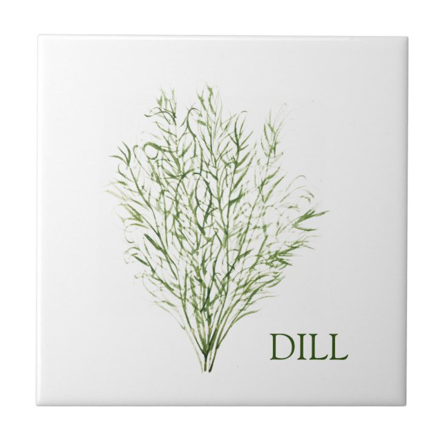 Dill Herb Greenery Kitchen Culinary Green Plant (Frente)