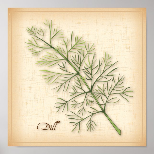 Dill Herb Poster (Frente)