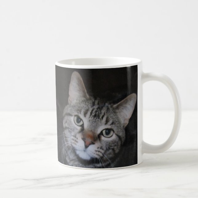 Dillan A Caneca De Gato (Direita)