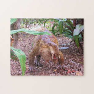 Dinossaur Jigserra Quebra-cabeça - Placerias
