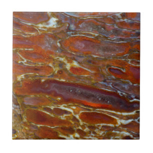 Dinossauro Petrificado