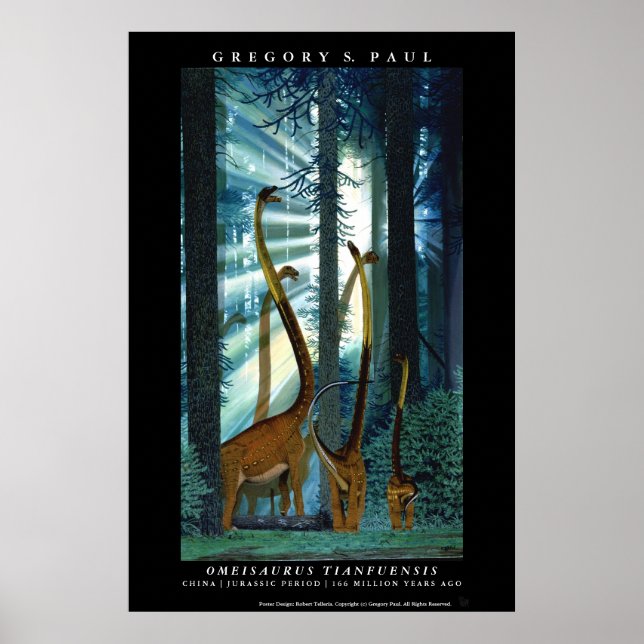 Dinossauro Poster Omeisauro Gregory Paul (Frente)