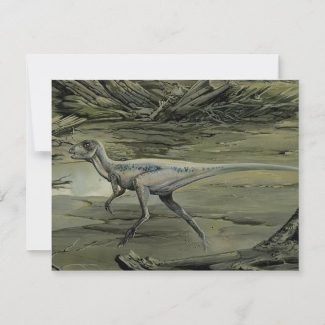 Dinossauros Vintage, um Hypsilophodon do Cretáceo (Frente)