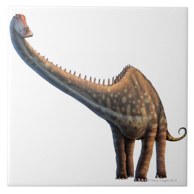 Diplodocus (Frente)