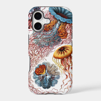 Disco de Ernst Haeckel