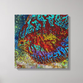 Discus Fish Stretch Canvas Print