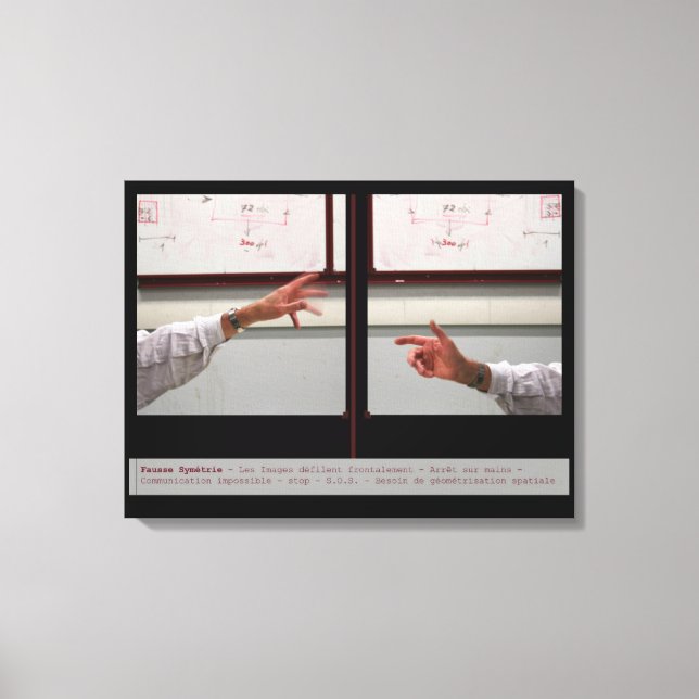 Distort Symmetry Fausry Symetrie Canvas (Frente)