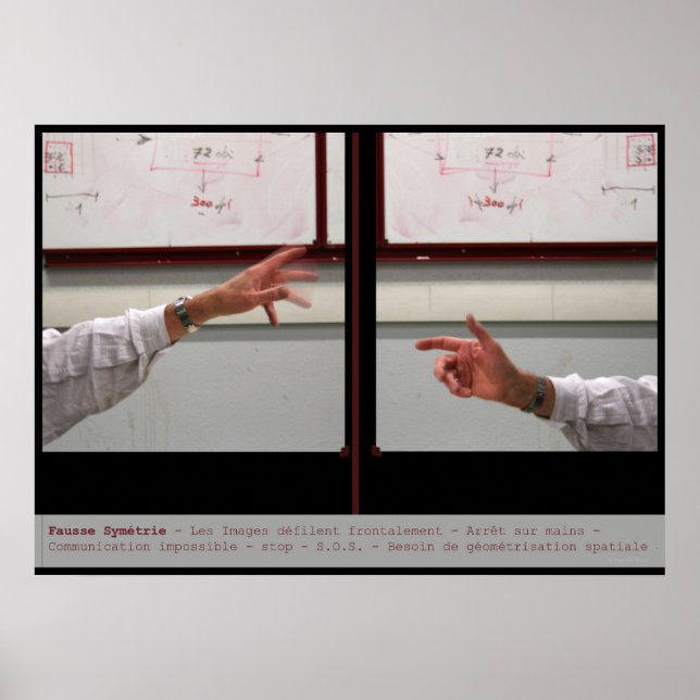 Distort Symmetry Fausry Symetrie Poster (Frente)