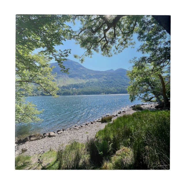 Distrito de Lake (Frente)