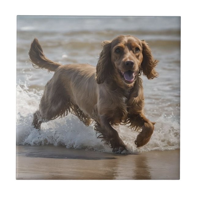 "Diversão à beira-mar: Uma peça de coquetel no oce (Frente)