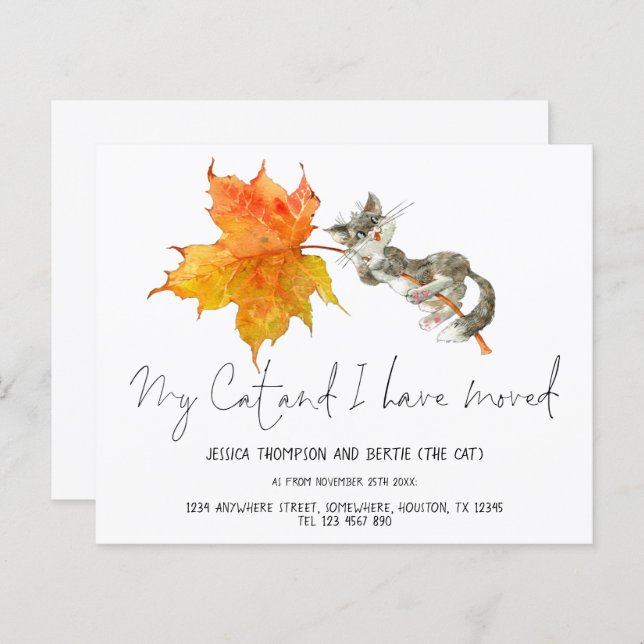 Diversão de Orçamento Meu Gato Mudei Script Nova C (Frente/Verso)