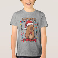 Diversão Luzes de Natal do Capivara Festa