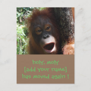 Diversão Movendo Mudar Novo Anúncio de Endereço