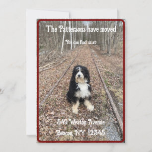 Divertido, apressado com cartão de anúncio em movi