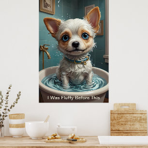 Dividir Posters Engraçados e Engraçados com Cotaçõ