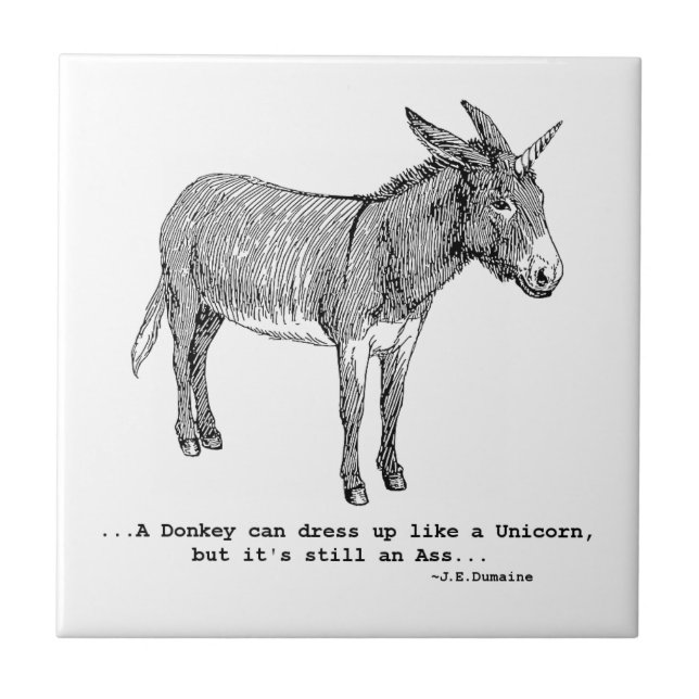 DIY UnicornDonkey ver1 (Frente)