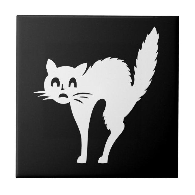 DIY VAZIO SUBSTITUIR MODELO COM SUA FOTO (Frente)