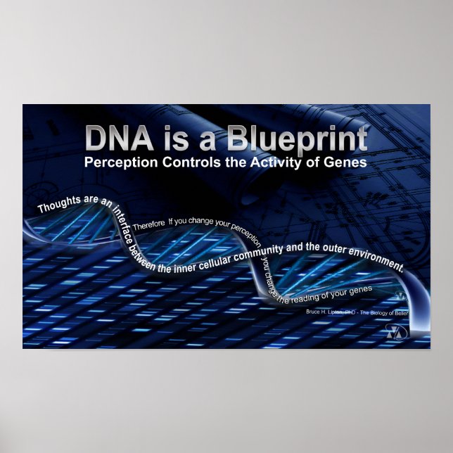 DNA is a Blueprint Poster (Frente)