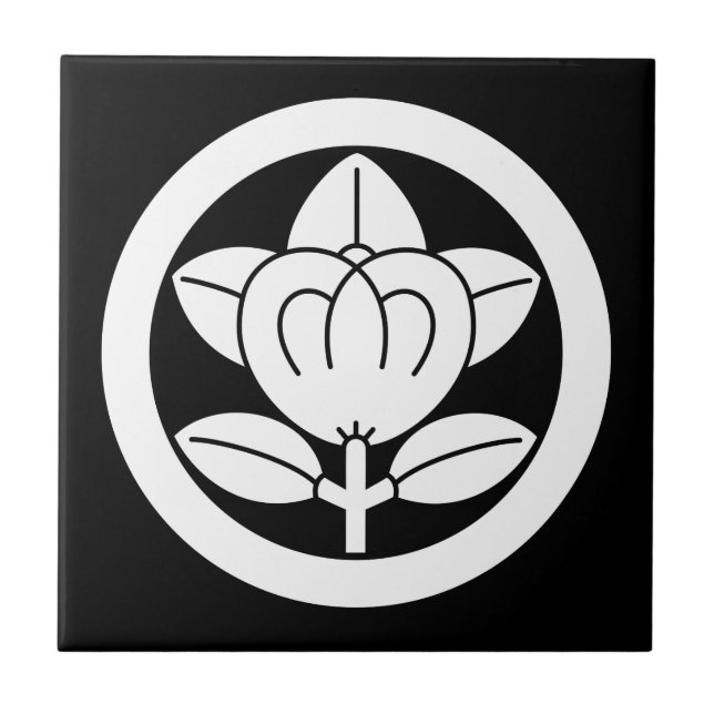 ） do 六つ割り作図 do （do 丸に橘 (Frente)