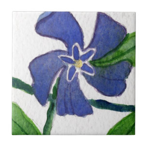 Do "azulejo da horta da videira Vinca"