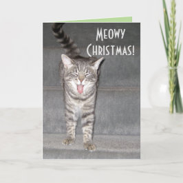 Do Cartão de Natal de Gato