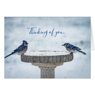 Do Lado Oposto Pensando Em Seu Cartão