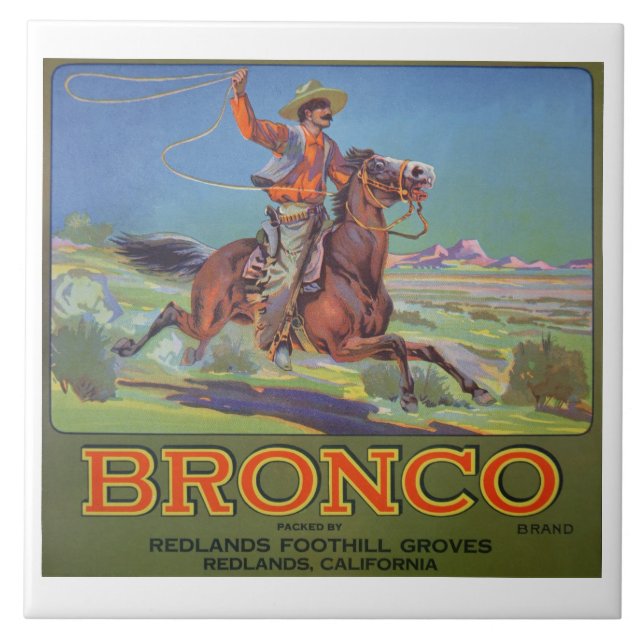 Do "laranjas bronco", c.1900 (litho da cor) (Frente)