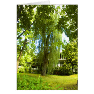 Do lugar um mistério além - quase no cartão da