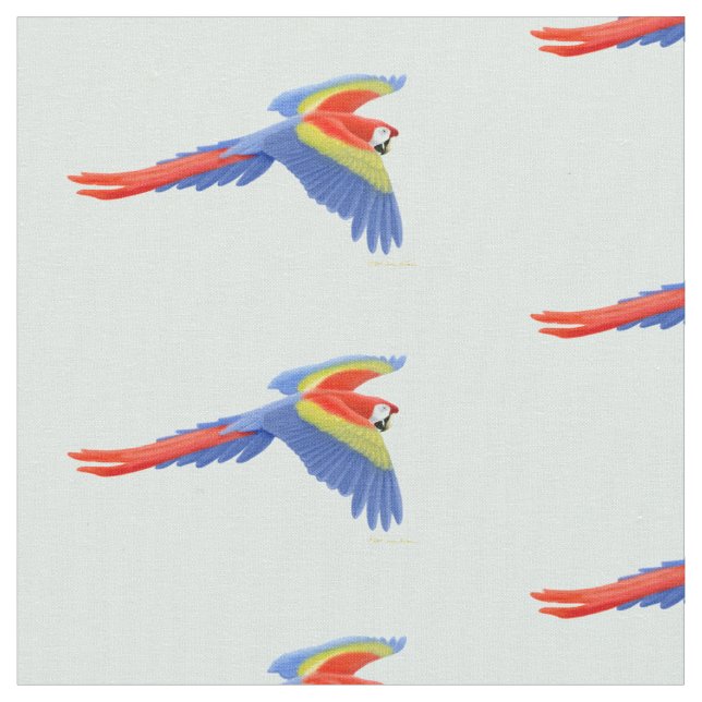 Do Macaw do vôo escarlate do tecido do papagaio (Detalhe)