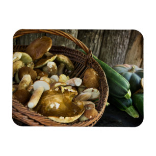 Do outono da comida ímã da foto da vida ainda